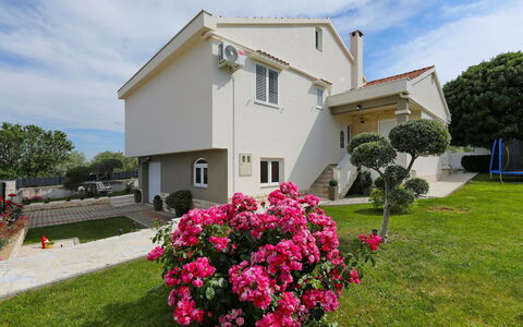 Karlo: Estate, Garden, Landscaping, Driveway, Yard, Villa