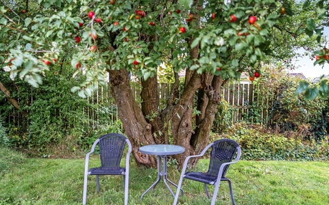 Mats - 5.3Km from the Sea: Grass, Grassland, Landscape, Ecoregion, Plain, Plant Community, Land Lot, Outdoor Furniture, Prairie, Shrubland