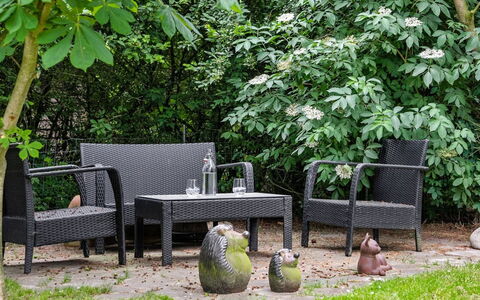 Annelisa - 200M to the Fjord: Furniture, Interior Design, Flooring, Wood, Floor, Ceiling, Wood Flooring, Chair, Table, Lighting