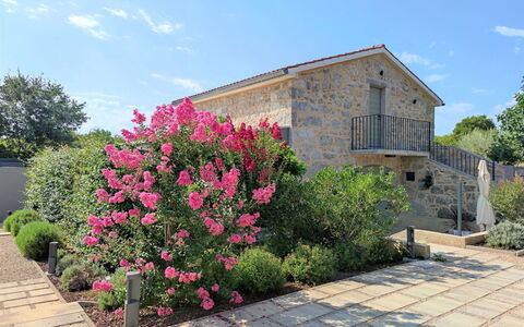 Jerini the Barn: Plant, Property, Building, Natural Landscape, Tree, Land Lot, House, Cottage, Landscape, Residential Area