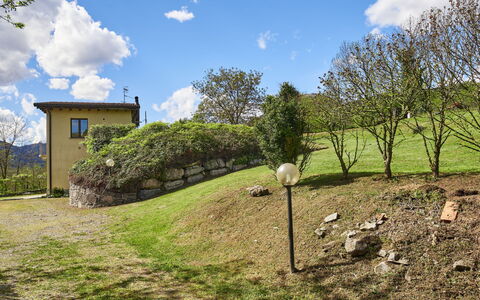 Casa Grandola-Green Garden: Plant, Property, Building, Natural Landscape, Tree, Land Lot, House, Cottage, Landscape, Residential Area