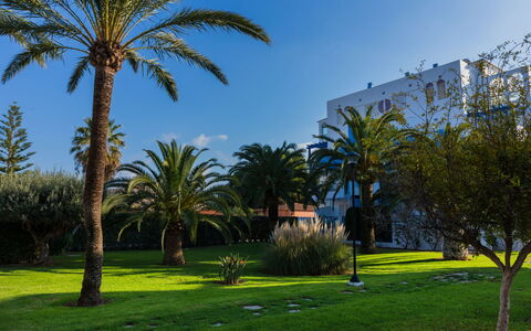Cala Blanca Denia: Table, Plant, Building, Sky, Cloud, Wood, Porch, Shade, Interior Design, Chair