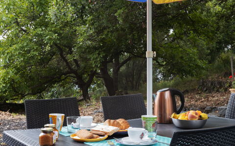 Alcunché: Tableware, Table, Food, Furniture, Property, Plate, Tree, Chair, Outdoor Furniture, Outdoor Table