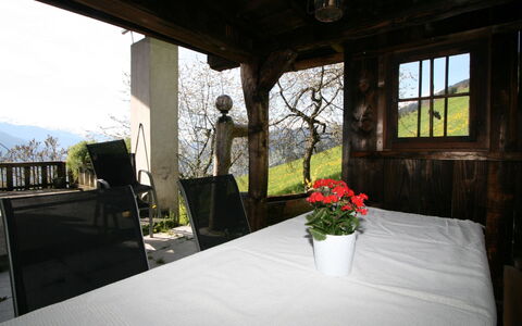 Tom: Flower, Plant, Table, Property, Window, Building, Flowerpot, Chair, House, Shade