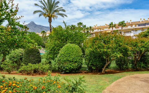 Dama de Noche: Leaf, Vegetation, Shrub, Garden, Woody Plant, Landscaping, Botanical Garden, Plantation, Hedge