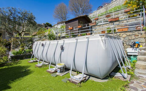 Kenzo: Water, Plant, Sky, Property, Cloud, Swimming Pool, Azure, Tree, Outdoor Furniture, Shade