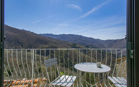 Kenzo: Water, Plant, Sky, Property, Cloud, Swimming Pool, Azure, Tree, Outdoor Furniture, Shade