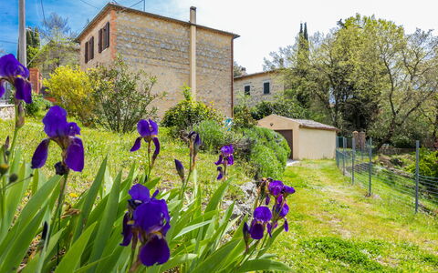 A Casa di Gabri: Water, Plant, Sky, Property, Cloud, Swimming Pool, Azure, Tree, Outdoor Furniture, Shade