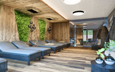 Accommodation:&nbsp;Premium mit Ir-Sauna 900.3