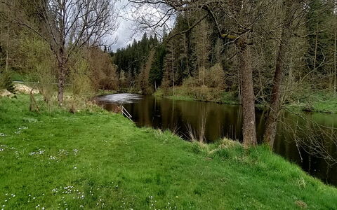 Reiter: Plant, Water, Natural Landscape, Land Lot, Tree, Watercourse, Grass, Bank, Riparian Zone