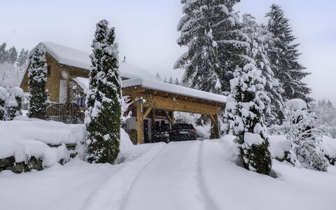 Reiter: Snow, Tree, Winter, Branch, House, Home, Cottage, Freezing, Geological Phenomenon, Larch