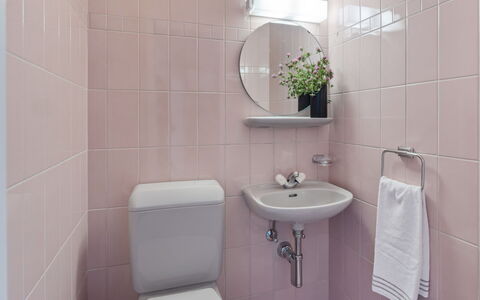 Porta: Plant, Plumbing Fixture, Sink, Tap, Property, Mirror, Bathroom Sink, Bathroom, Purple, Flower