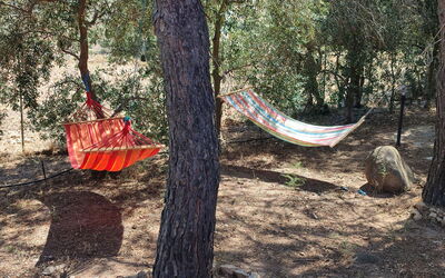 Relax