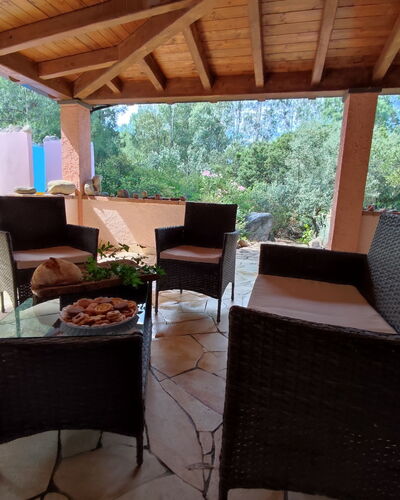 Relax: Furniture, Property, Plant, Table, Wood, Shade, Outdoor Furniture, Interior Design, Chair, Tree