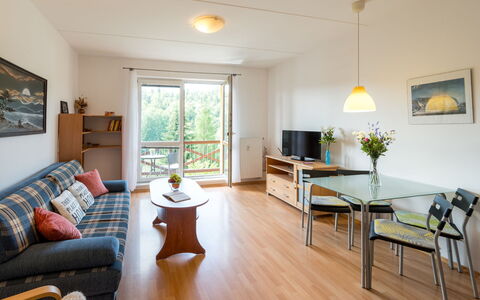 Accommodation:&nbsp;Sluneční Stráň Iii 100.2