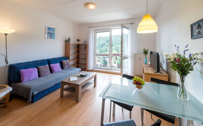 Accommodation:&nbsp;Sluneční Stráň Iv 100.3