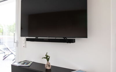 Fischer Sien Huus 100.6: Property, Plant, Rectangle, Interior Design, Houseplant, Wall, Living Room, Television, Shelving
