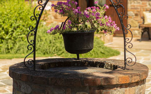 Casa Vacanze Paradiso: Flower, Plant, Flowerpot, Wood, Font, Grass, Metal, Garden, Annual Plant, Landscaping
