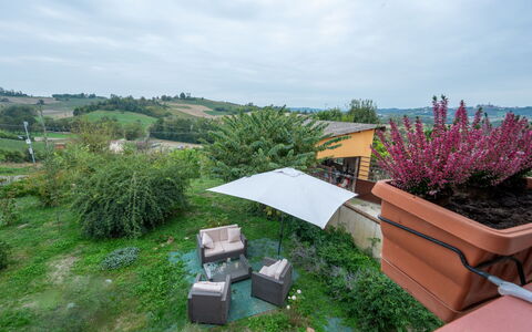 Casa dei Nonni: Plant, Sky, Cloud, Plant Community, Wood, Vegetation, Outdoor Furniture, Land Lot, Window, Building