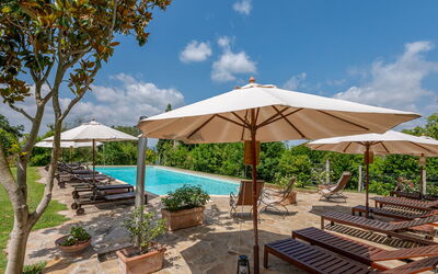 Accommodation:&nbsp;Carola 250.2