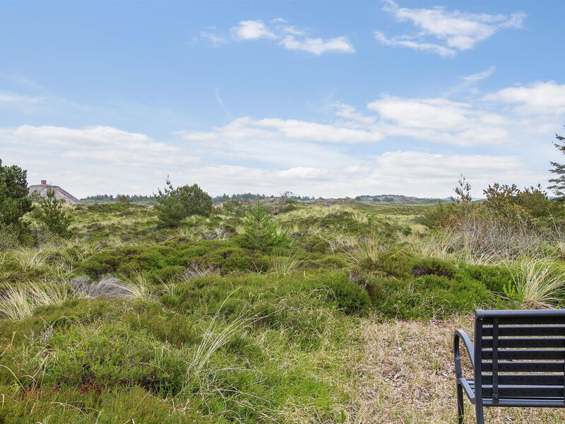 galen - 700m From The Sea In Western Jutland