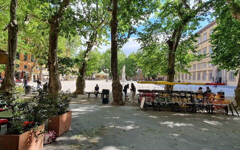 Residenza Otello: Plant, Flowerpot, Building, Road Surface, Urban Design, Tree, Neighbourhood, Leisure, Shade