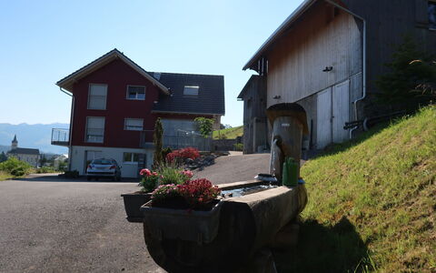 Luxenweid: Plant, Sky, Window, Building, Flowerpot, House, Land Lot, Cottage, Residential Area, Grass
