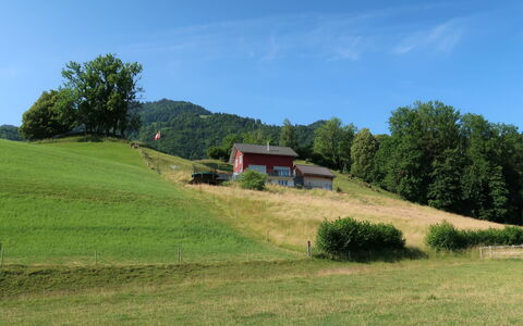 Luxenweid: Sky, Plant, Tree, Natural Landscape, Slope, Cloud, Grass, Grassland, House, Mountain