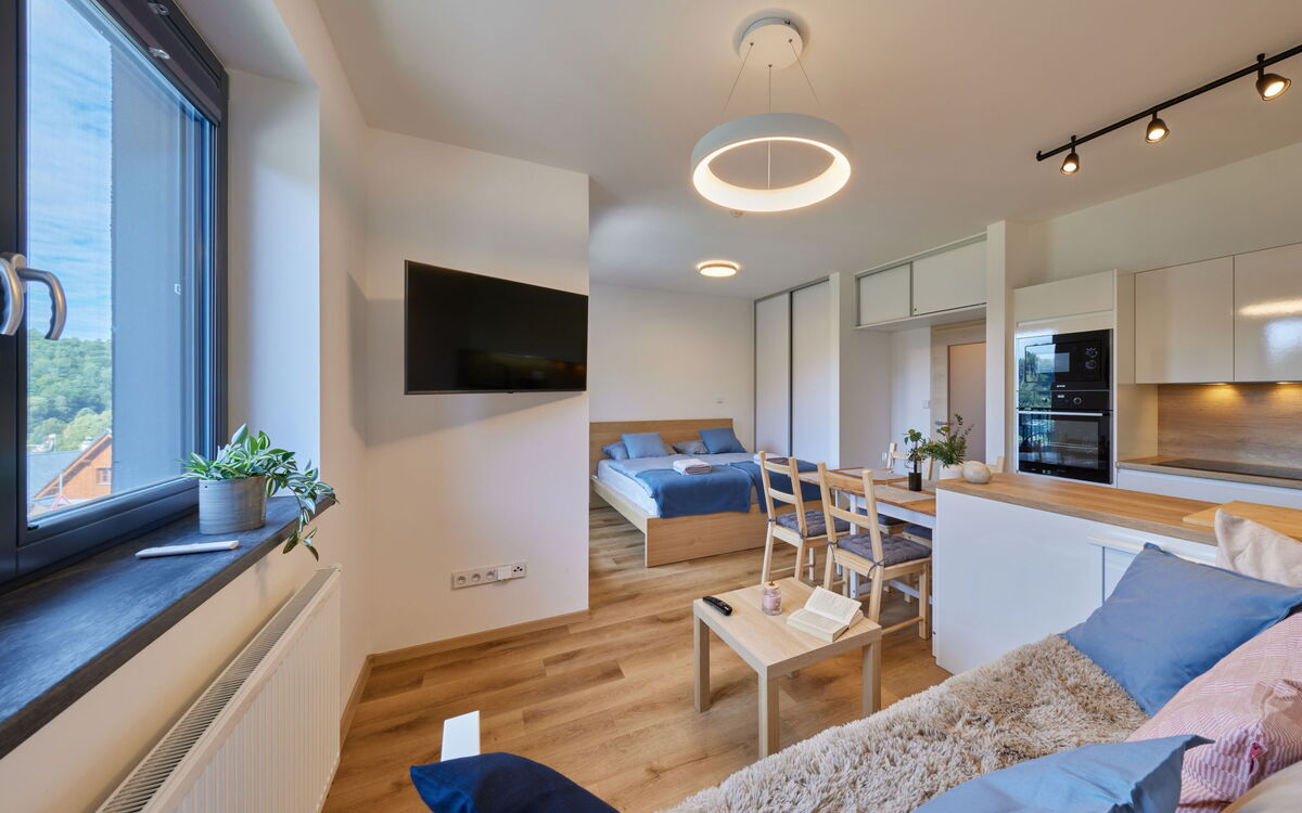 Accommodation:&nbsp;Černý Důl 20.1