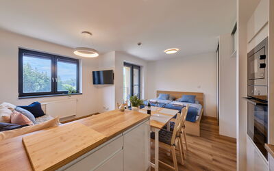 Accommodation:&nbsp;Černý Důl 20.1