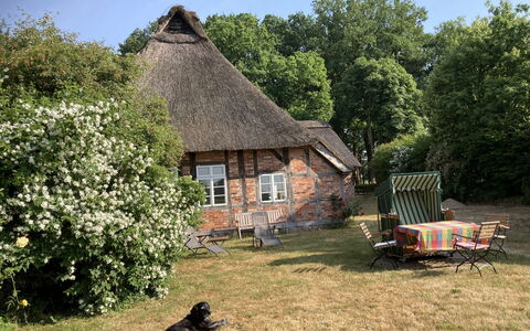 Reethuus: Building, Plant, Property, Sky, Window, House, Natural Landscape, Tree, Land Lot, Thatching