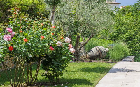 Villa Anita: Water, Sky, Building, Plant, Property, Swimming Pool, Azure, Tree, Window, House