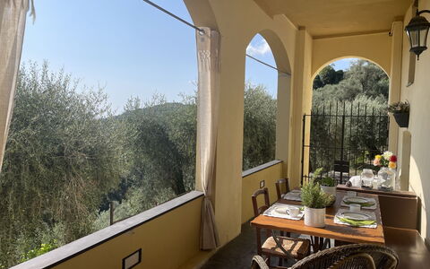 Casa Norvegia: Building, Property, Plant, Sky, Window, Shade, Table, Wood, House, Houseplant