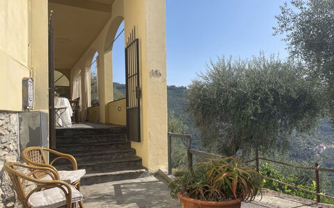 Casa Norvegia: Plant, Sky, Property, Building, Flowerpot, Shade, Chair, Residential Area, Real Estate, Road Surface