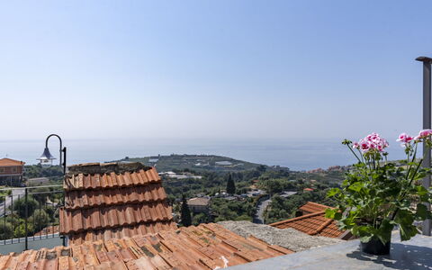 Accommodation:&nbsp;Fico 619.5