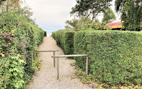 Maybrit - 50M from the Sea: Blue, Shrub, Cottage, Groundcover, Garden, Estate, Shade, Landscaping, Farmhouse, Eco Hotel