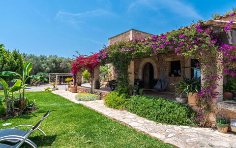 Sa Caseta: Water, Plant, Building, Daytime, Property, Swimming Pool, Window, Sky, Azure, Nature