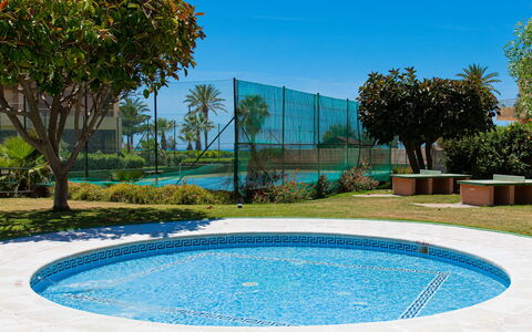 Marina: Water, Plant, Property, Daytime, Sky, Botany, Azure, Nature, Tree, Building