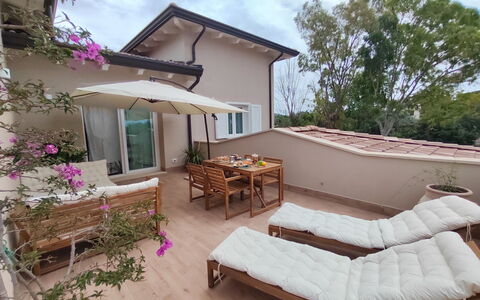 Amici Miei di Levante: Flower, Water, Plant, Sky, Building, Swimming Pool, Tree, Body Of Water, Petal, Window
