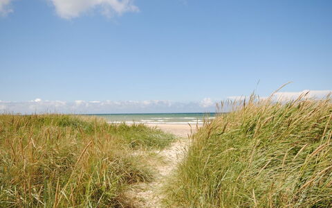 Fredsine - 900M from the Sea: Blue, Shrub, Cottage, Groundcover, Garden, Estate, Shade, Landscaping, Farmhouse, Eco Hotel