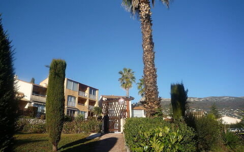 Le Jardin de Matisse: Sky, Property, Tree, House, Palm Tree, Home, Architecture, Building, Real Estate, Residential Area