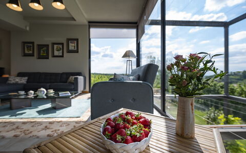 Casa San Grato - Roero - Langhe, Piemonte: Flower, Plant, Building, Property, Sky, Cloud, Window, Couch, Flowerpot, Table