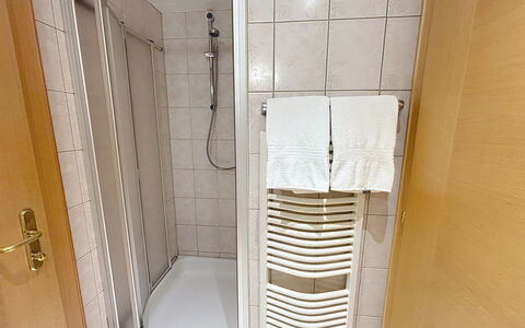 Ischgl 111: Flooring, Floor, Interior Design, Room, Wood Stain, Linens, Hardwood, Tile, Shower Door