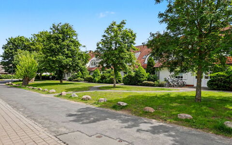 Zempin 160: Tree, Residential Area, Road Surface, Neighbourhood, Shrub, Public Space, Home, Sidewalk, Human Settlement