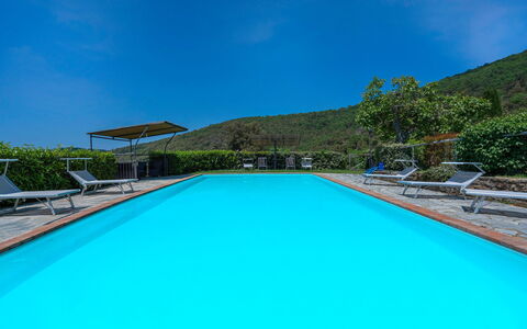 Colle Degli Ulivi - Cortona, Pool, Nature, Privacy: Water, Sky, Plant, Swimming Pool, Azure, Rectangle, Building, Shade, House, Tree