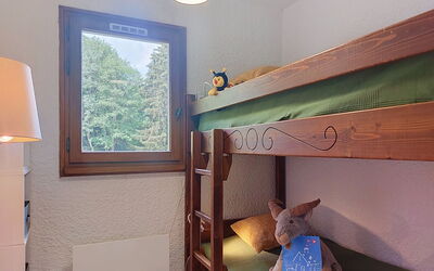 Accommodation:&nbsp;Les Tétras 390.2