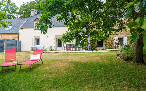 La Torche: Flower, Plant, Furniture, Property, Window, Building, Green, Chair, Table, Sky