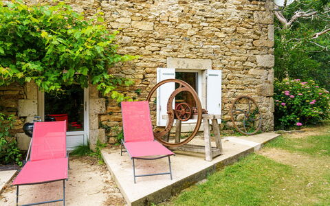 La Torche: Flower, Plant, Furniture, Property, Window, Building, Green, Chair, Table, Sky