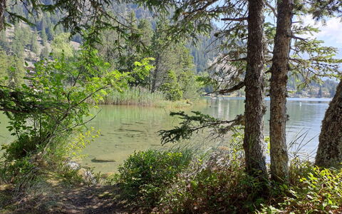 Champex 220: Water, Green, Body Of Water, Nature, Water Resources, Natural Environment, Natural Landscape, Vegetation, Summer, Bank