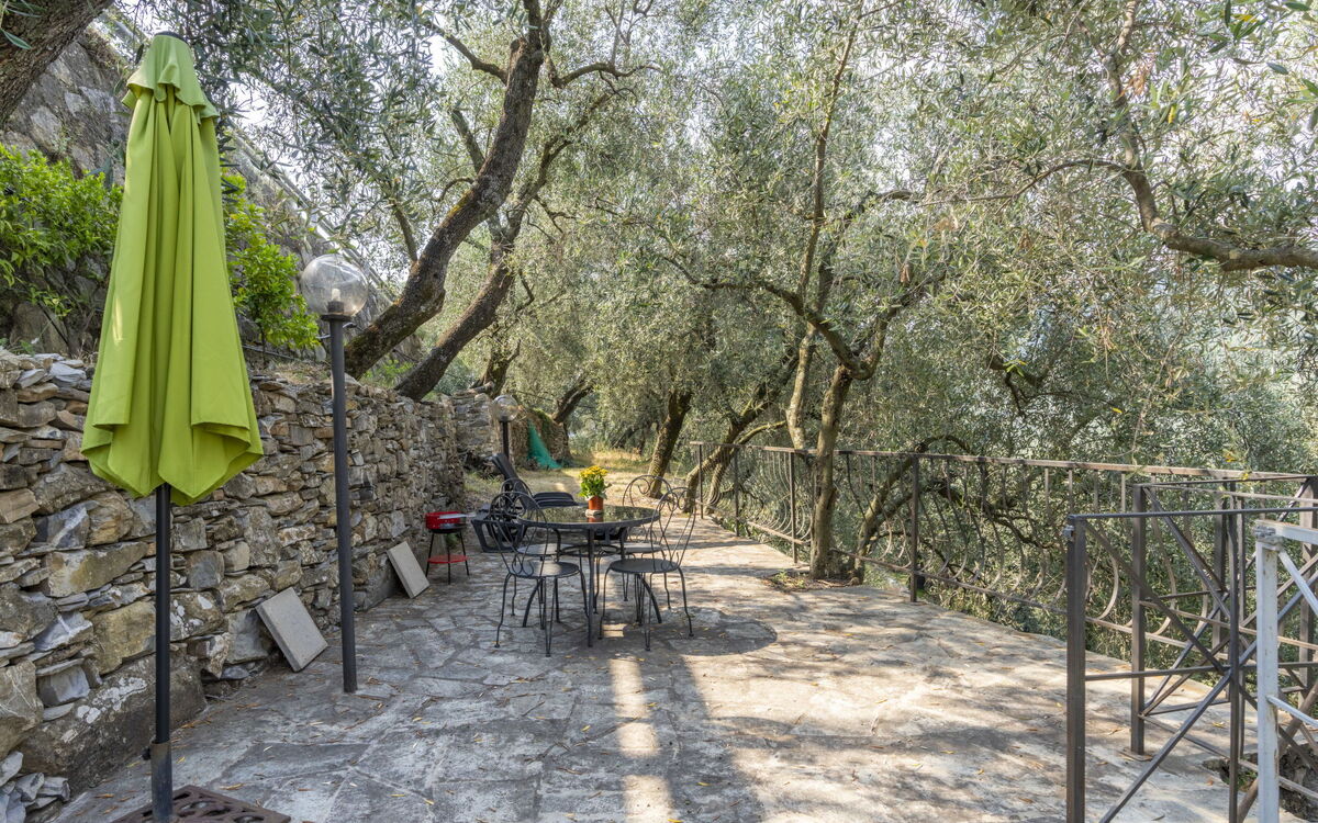 Accommodation:&nbsp;Ulivo 615.2